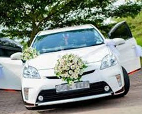 Nova Tours and Travels Call Cabs, Taxi service, Vehicle rentals (short & long terms), Wedding hires, Airport pick and drop, Vehicle for tours and transport, Office/house movers, Lorry for hire